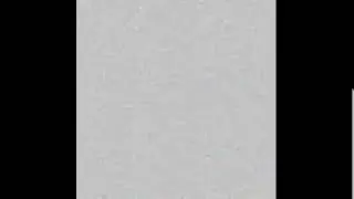 Tim Sutton Live Stream