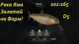 Фарм на реке Яма продолжается! Русская рыбалка 4. рр4