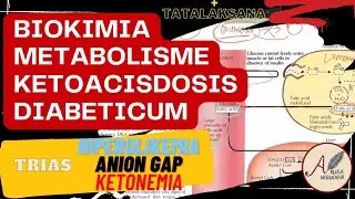 Biokimia Metabolisme Keton Pada Ketoasidosis Diabetikum (KAD)