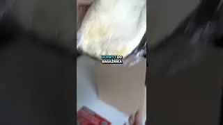 SPECJALNA Prośba! 🏎️📦 