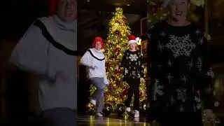 инстаСамка и Лолита 🛳️