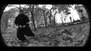 для HTC (RAIZI autumn black and white )