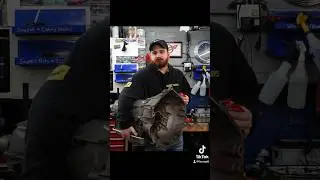 F-body 