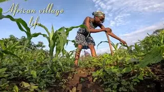 #villagelife 🌿// a day in Kenyan countryside 🪴