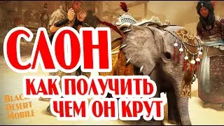 BLACK DESERT MOBILE: ИМПЕРАТОРСКИЙ СЛОН, КАК ПОЛУЧИТЬ