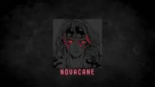 Shiloh Dynasty - Novacane (slowed and reverb)