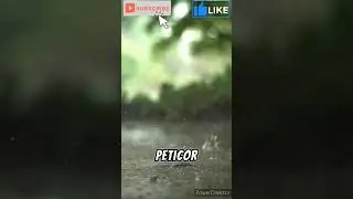 ¿Te gusta el olor a tierra después de que llueve? #education #viral #curiosidades #shorts
