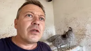 кто МАТРЁШКУ поит и кормит, тот её и 