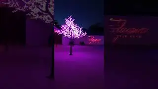 Что можно делать вечером на хуторе Бетта? - потанцевать.
