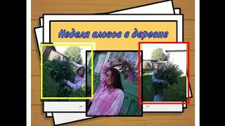 Неделя влогов в деревне 🤩