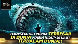 DITEMUKAN HIU PRASEJARAH 
