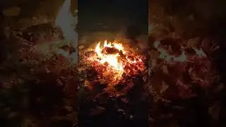 Сочи 29.06.24 база отдыха Троя