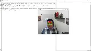 Detección de rostros en video con OpenCV 4 y Python 3