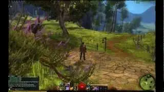 Guild Wars 2 First Person Third Person Scroll View