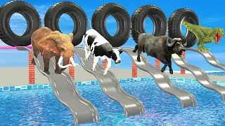 Wild Animals Choose the Right Tire Game Gorilla Play Mystery Slide Challenge Funny Game