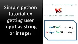 Simple Tutorial Python getting user input as string or int 