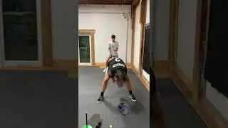 Satisfying Perfect Fit Paper Towel Toss 