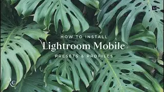 INSTALL | How to Install Presets in LIGHTROOM MOBILE App | REFINED CO