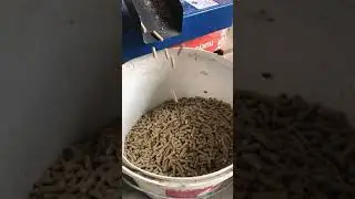 granulator 40 -60kg/h