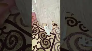 Skibidi toilet 18 но это бумажки!
