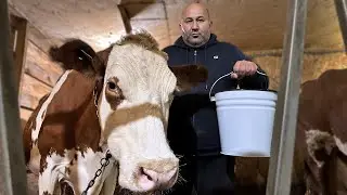 100% Kefir, recipe for a Kefir dish