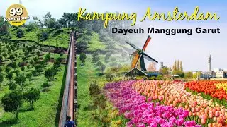 Suasana Sejuk Di Perkampungan  kebon teh jaman Belanda di garut