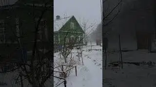 Как ловить плотву в апреле?