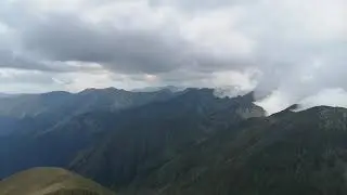 Coada la 