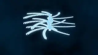 Blender Simple Array Modifier Animation