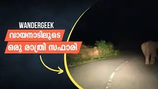 വയനാട്ടിലൂടെ ഒരു രാത്രി യാത്ര | Wayanad, Tholpetty