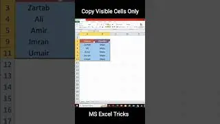 How to Copy only visible data in MS Excel  - FILTER DATA and Then Copy only Visible Cells 