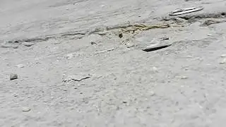 VideoDrone Protocol AP Video