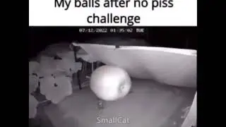 My balls (12 days in)