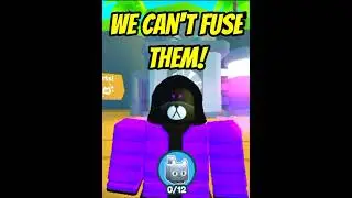 What Happens When You Fuse 3 Rainbow Hacked Cats? - Pet Simulator X #petsimulatorx