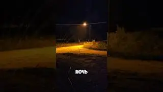 ☀️🥵Что делать когда всю неделю жара, а ты посеял газон? #ландшафтныйдизайн  #строительство