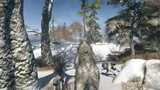 Тест assassins creed rogue+FPS (Intel core i5 4570+GTX 770+8gb RAM)
