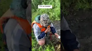 Сказал-отрезал