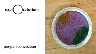 Pie-Pan Convection- Science Snack Activity