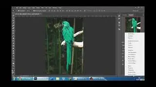 Changing the Blue Bird's Color to Green