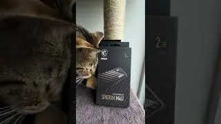 When the storage is purrrrrrfect