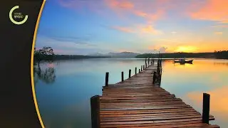 The Best EDM Mix 2021 🔈 Best Gaming Music 🎵 NCS, Trap, Bass, House, Dubstep 2021 🎵 2020 🎵
