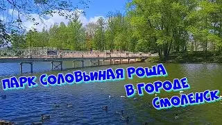 Смоленск. Парк Соловьиная роща. 28.05.2022