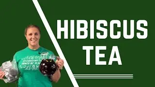 How to make Hibiscus Tea Hot or Iced I Quick, Easy Refreshing Drink