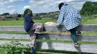 Сборная солянка из деревни. Последние кусочки.