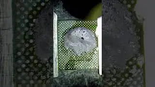 Trick for Clean Oxidized Android CPU & UFS Pads Quickly  #phonerepair #shorts
