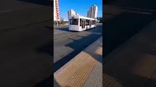 МИНСК (Беларусь) | МАЗ-203.085; гос. АС 1414-7; марш. ТЭЦ-4.