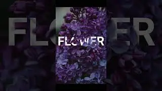 Text Masking Effect in Photoshop - How to Mask Text on Photoshop – Typography 