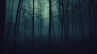Окаменевший лес. 100% сартира. Детские игры
