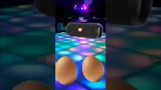 Песня про яйца и человека!