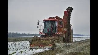 BEET CAMPAING IN SNOW 2017